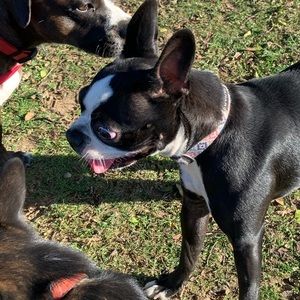 Meet your Posher, Ting